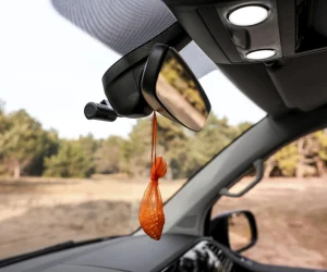 Přečtete si více ze článku Nasypte 5 lžic do sáčku a zavěste jej do auta, kde neutralizuje nepříjemné pachy. Celým interiérem se rozline příjemná vůně. Přírodní vůně do auta