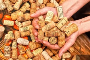 Přečtete si více ze článku Zavřete ledničku: jednoduchý způsob, jak vyřešit největší problém