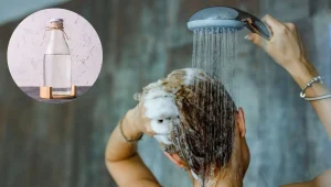 Přečtete si více ze článku Mytí vlasů bílým octem: proč se doporučuje a k čemu se používá